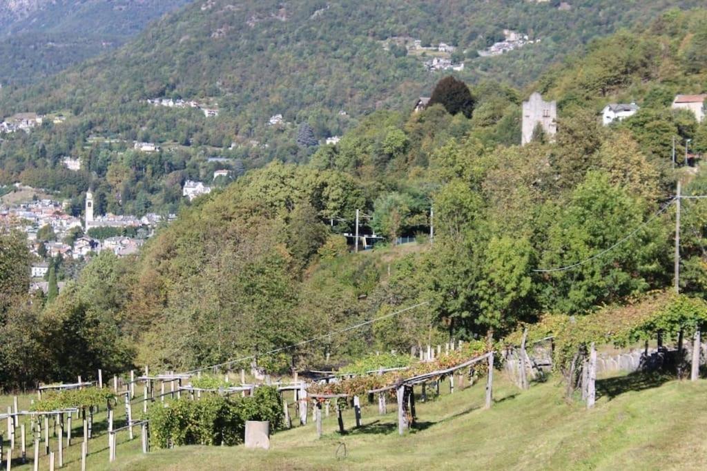 La Casa Nel Prunent Trontano Kültér fotó