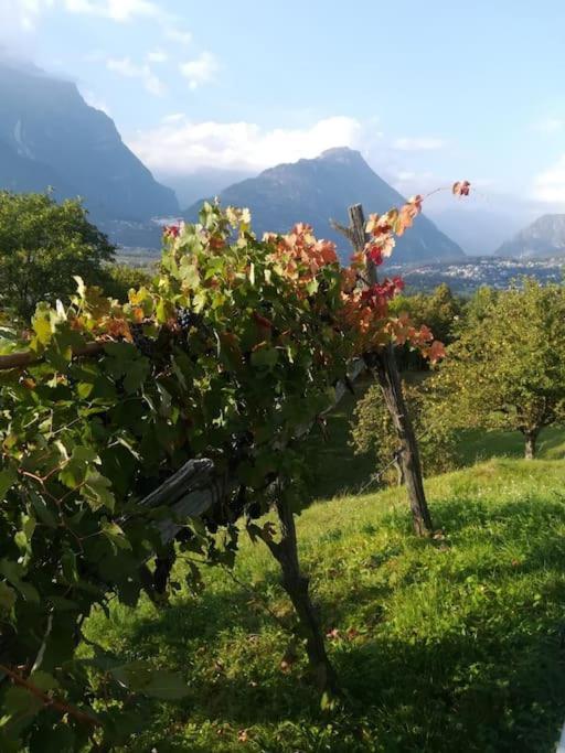 La Casa Nel Prunent Trontano Kültér fotó